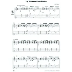 Acoustic Music Books Fingerstyle Blues Collection