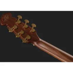 Adamas 1687-AG-G 50th Anni DNC LTD