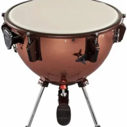 Adams 29