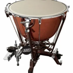 Adams 29