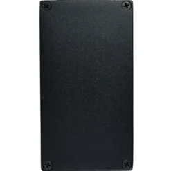 Aguilar Filter Twin