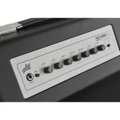 Aguilar Tone Hammer 210