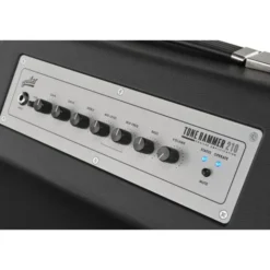Aguilar Tone Hammer 210
