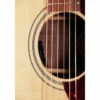Alhambra 2C A incl. Gig Bag