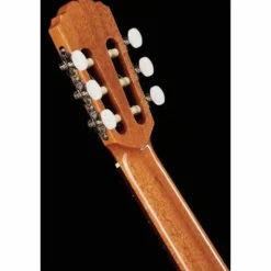 Alhambra 2C A incl. Gig Bag