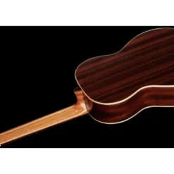 Alhambra 2C A incl. Gig Bag