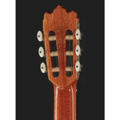 Alhambra 3C A incl.Gig Bag