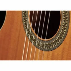 Alhambra 2C incl. Gig Bag