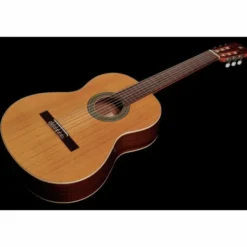Alhambra 2C incl. Gig Bag