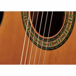 Alhambra 3C incl.Gig Bag