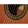 Alhambra 3C Senorita (7/8) incl.Gig Bag
