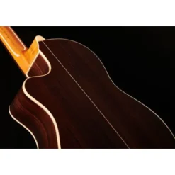 Alhambra CS-LR CW E1 incl. Gig Bag
