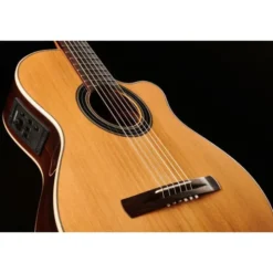 Alhambra CS-LR CW E1 incl. Gig Bag