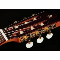 Alhambra CS-LR CW E1 incl. Gig Bag