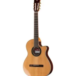 Alhambra CS-LR CW E1 incl. Gig Bag