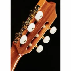 Alhambra CS-LR CW E1 incl. Gig Bag
