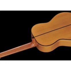 Alhambra 10 Fc Flamenco incl. Case