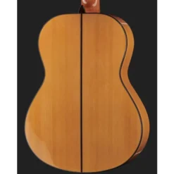 Alhambra 10 Fc Flamenco incl. Case