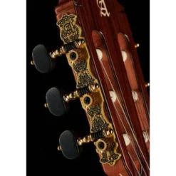 Alhambra 10 Fc Flamenco incl. Case