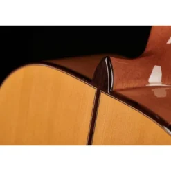 Alhambra 10 Fc Flamenco incl. Case