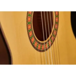 Alhambra 10 Fc Flamenco incl. Case