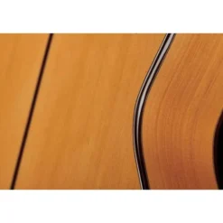 Alhambra 10 Fc Flamenco incl. Case