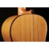 Alhambra 8 Fc Flamenco incl. Case