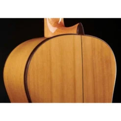 Alhambra 8 Fc Flamenco incl. Case