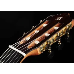 Alhambra 8 Fc Flamenco incl. Case