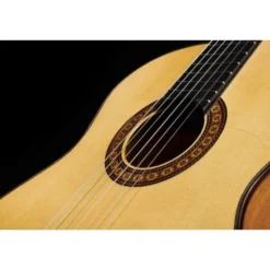 Alhambra 8 Fc Flamenco incl. Case