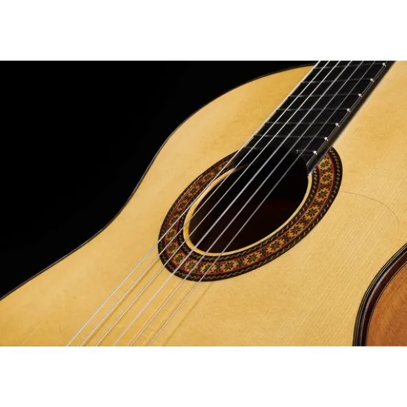 Alhambra 8 Fc Flamenco incl. Case