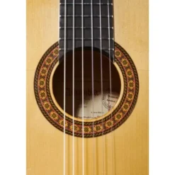 Alhambra 8 Fc Flamenco incl. Case