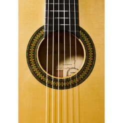 Alhambra 7FC Flamenco incl.Gig Bag