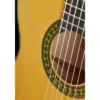 Alhambra 5F Flamenco incl. Gigbag