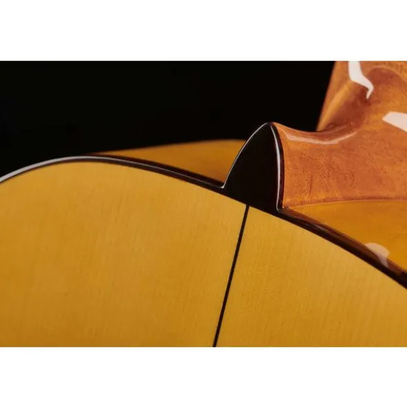 Alhambra 5F Flamenco incl. Gigbag