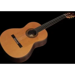 Alhambra 10 Fp Pinana Flamenco