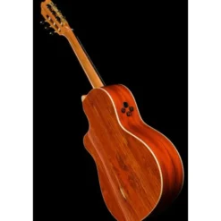 Alhambra Green Sustain Cut E8 w/Gig Bag