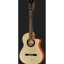 Alhambra Green Sustain Cut E8 w/Gig Bag