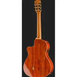 Alhambra Green Sustain Cut E8 w/Gig Bag