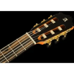 Alhambra Green Sustain Cut E8 w/Gig Bag