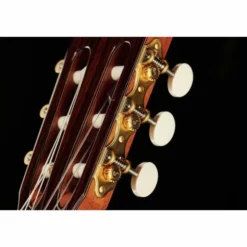 Alhambra Luthier India Montecabrer