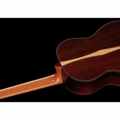 Alhambra Luthier India Montecabrer