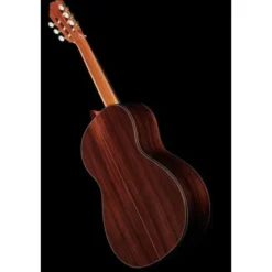 Alhambra 7P A incl.Gig Bag