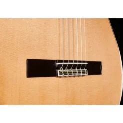 Alhambra 9PA w/Case