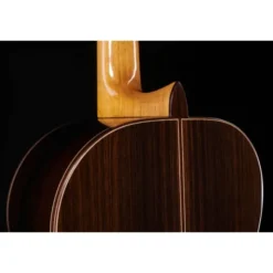 Alhambra 9PA w/Case