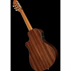 Alhambra 5P CT E2 incl.Gig Bag