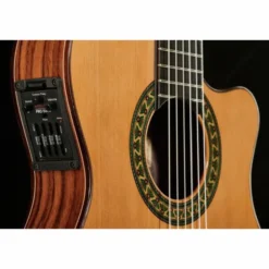 Alhambra 5P CT E2 incl.Gig Bag