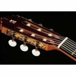 Alhambra 5P CT E2 incl.Gig Bag