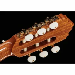 Alhambra 5P CT E2 incl.Gig Bag