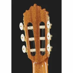 Alhambra 5P CT E2 incl.Gig Bag